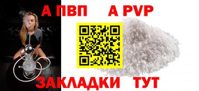 СК Кингисепп