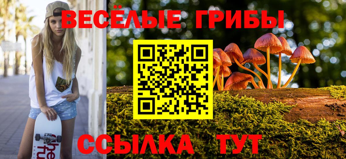 Волжск  Псилоцибиновые грибы GOLDEN TEACHER  Вход с VPN 